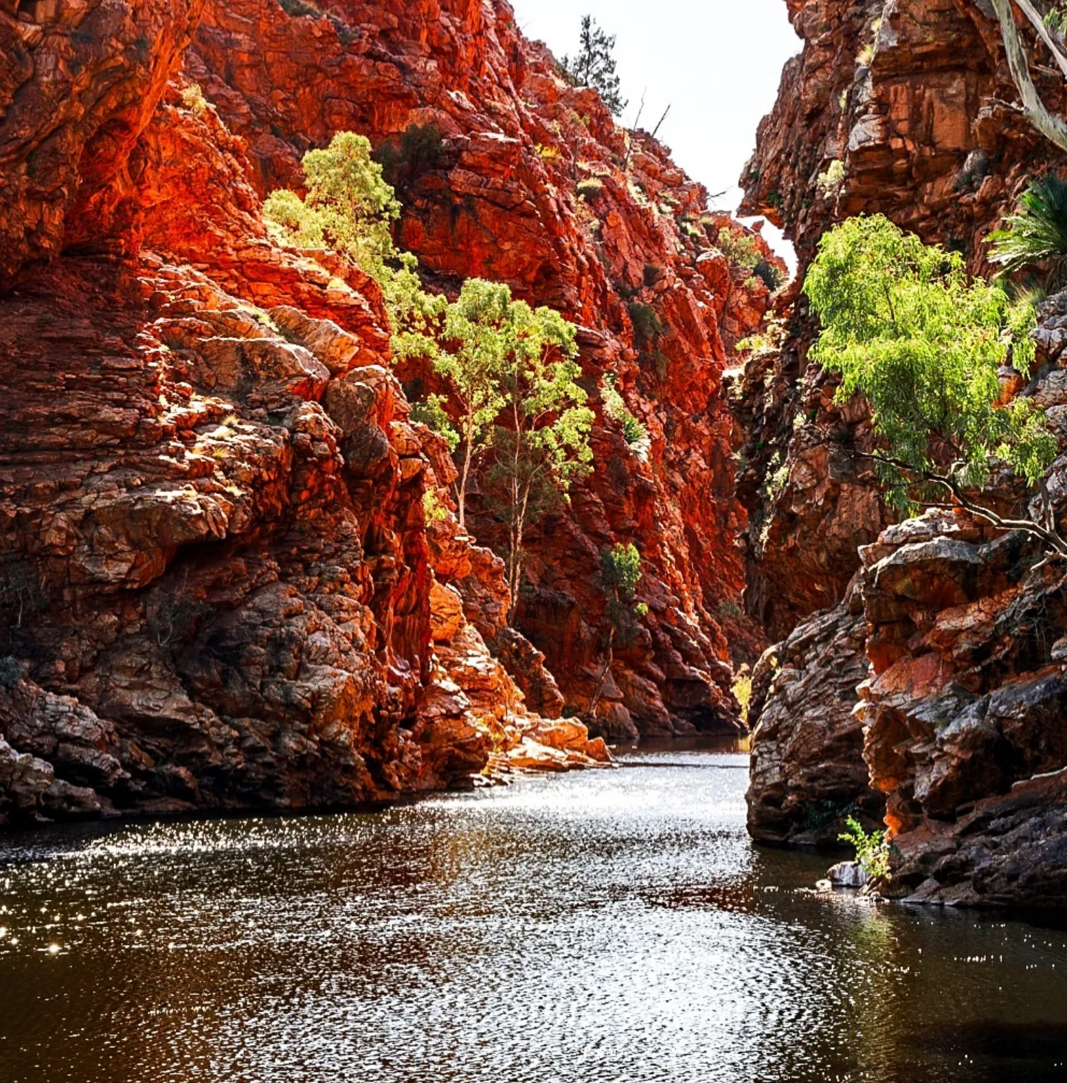 Alice Springs